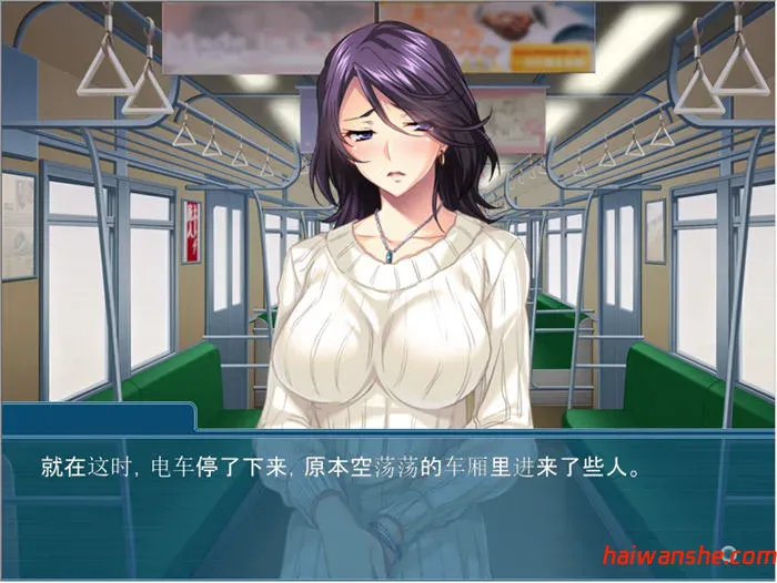 夺回属于我的一切 v1.0 AI汉化版 ADV游戏+全CG存档 500M