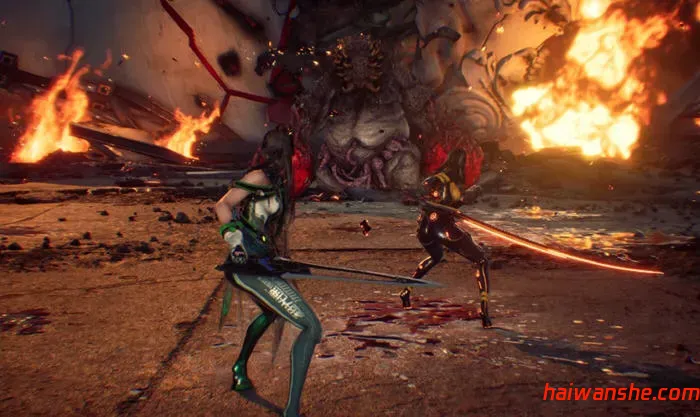 DISORDER STEAM官方中文版 Roguelike肉鸽动作游戏 14G