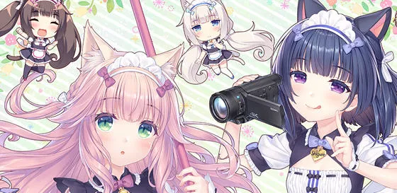 猫娘乐园 After:真实的家庭 官方中文版 ADV游戏+全CG存档 4.6G-嗨玩社